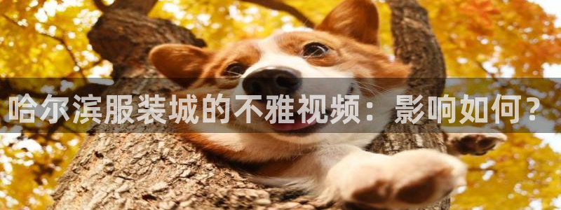 乐发彩票vll平台