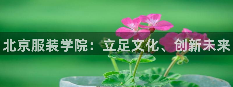 乐发彩票平台代理