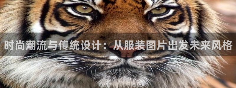 乐发平台黑吗