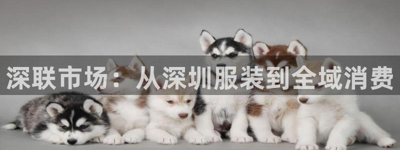乐发平台赚钱技巧是什么