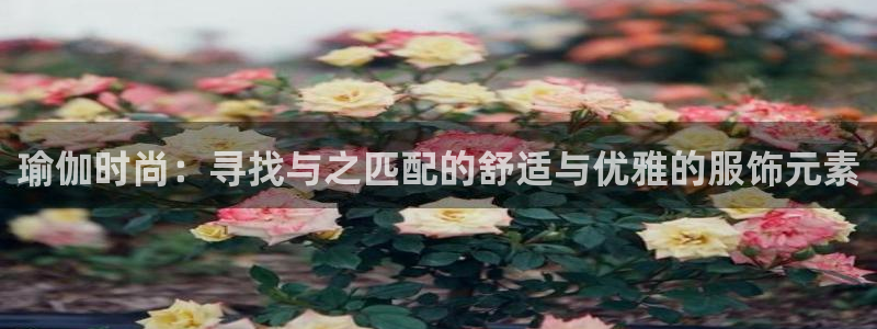 乐发平台杀猪盘