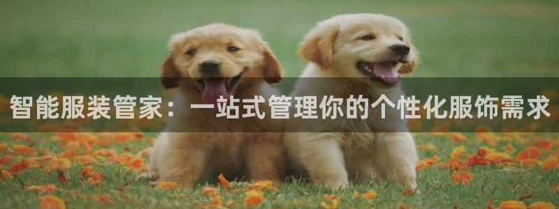 乐赚发圈平台