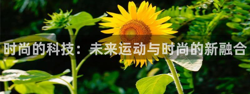 乐发1彩票平台下载