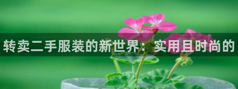 乐发传媒平台