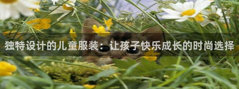 乐发 il彩票平台入口
