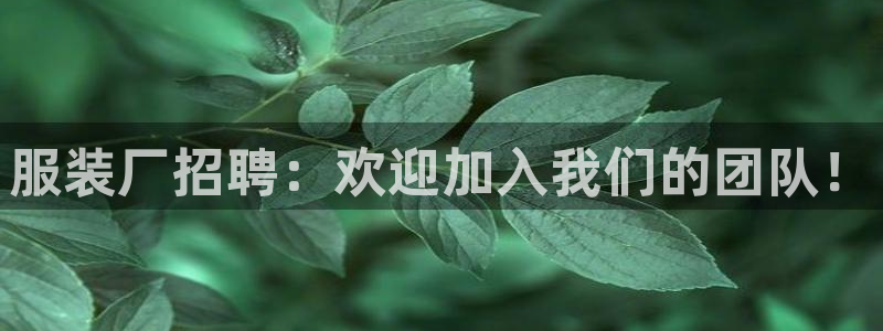 乐发彩票网平台带人玩的