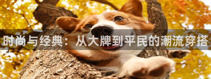 乐发ll 中彩平台
