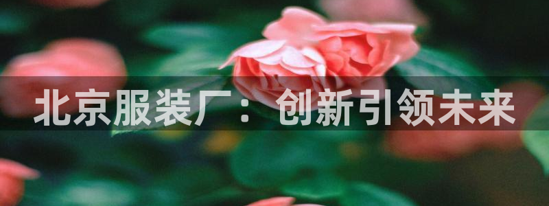 大发乐发x诈骗平台