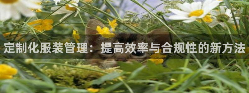 乐豪发游戏平台