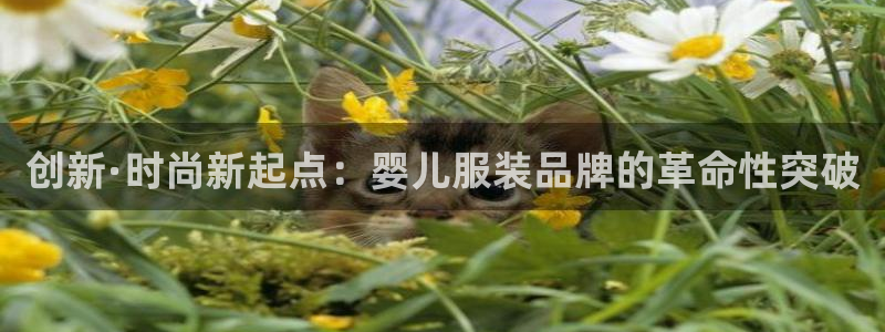 乐发平台靠谱吗