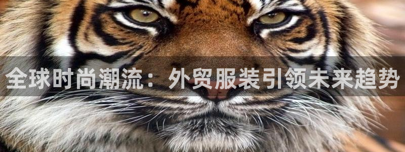 乐发体育平台怎么注册的