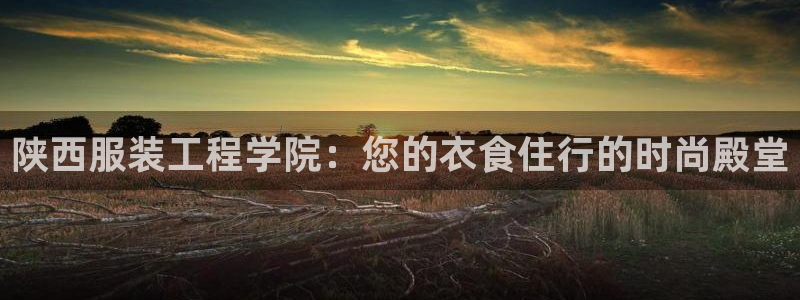 乐享发圈平台App苹果版下载