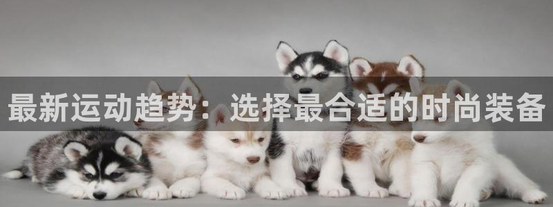 乐发平台黑钱