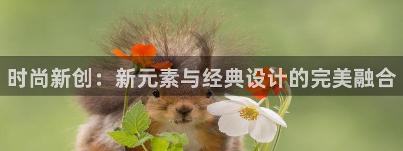 乐发彩票app平台