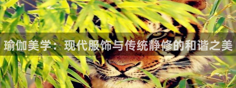 乐发国际平台怎么样