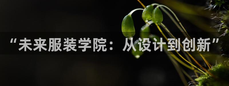 乐发1彩票平台下载