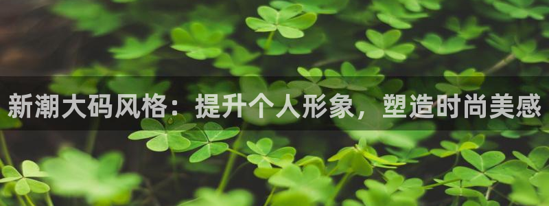 乐发平台是正规的吗：新潮大码风格：提升个