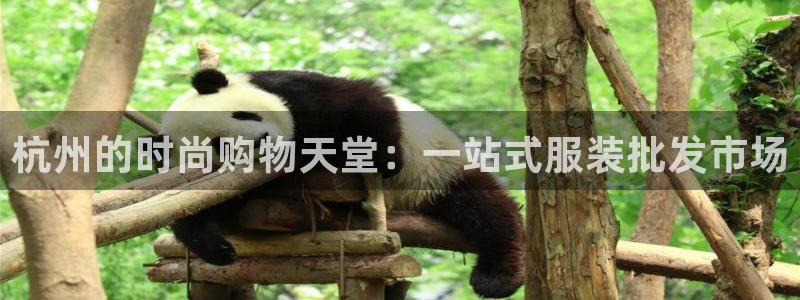 乐发彩票登录平台下载