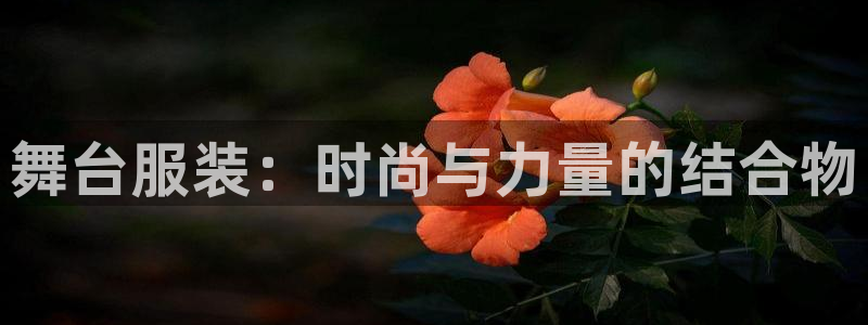 乐发500大小单双平台