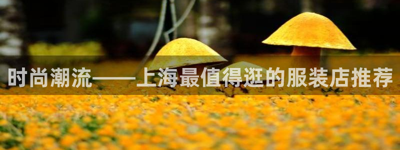 乐贷公告是什么平台发的