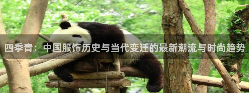 发乐发彩票平台注册码