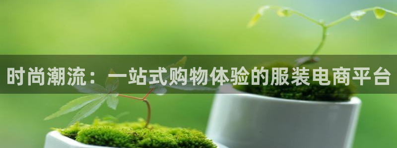 乐发平台注册资金多少