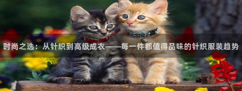 乐发彩票平台正规不