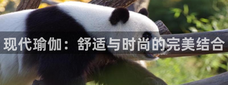 乐发平台多久了