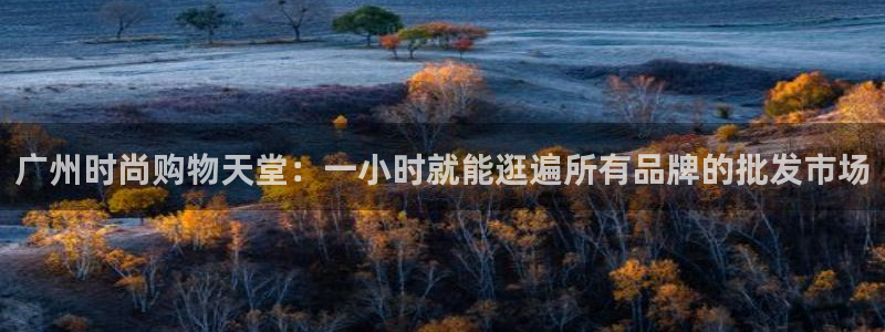 乐发传媒是个什么平台