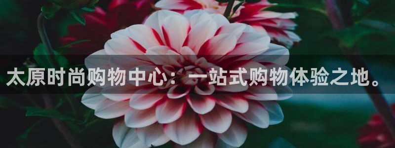 乐发Welcome乐发购彩平台