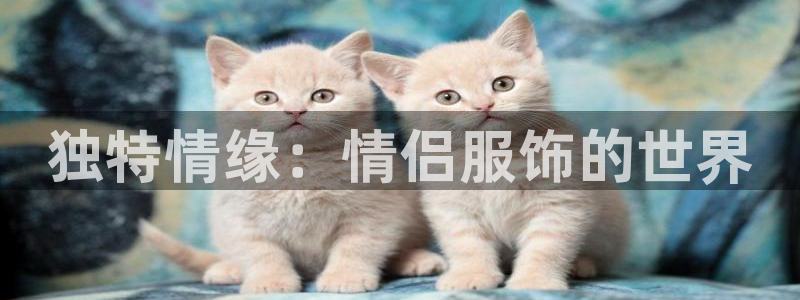 乐发分期是什么贷款平台