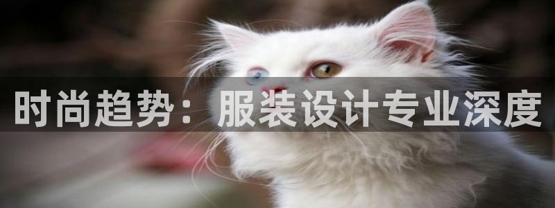 棋乐棋牌平台浦发棋牌