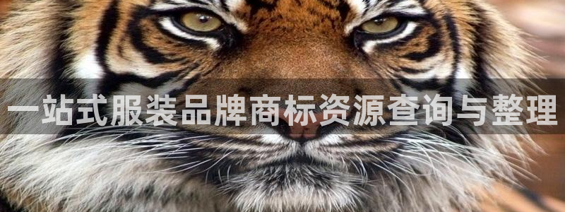 乐发平台赚钱技巧是什么