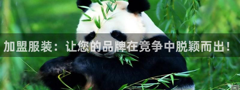 乐发国际平台官网