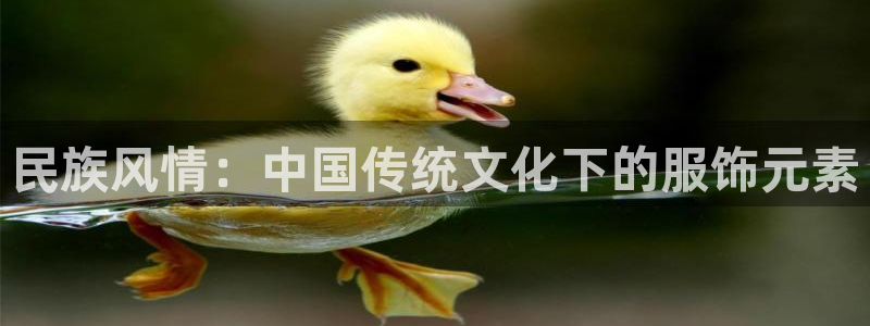 乐发传媒是怎样的平台