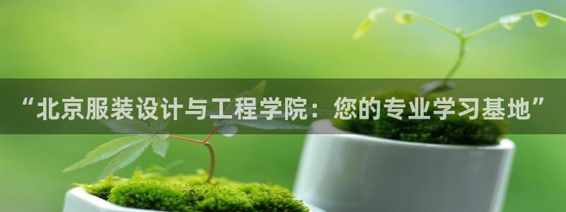 乐发彩票平台网址是多少