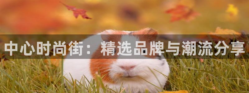 乐发传媒是怎样的平台